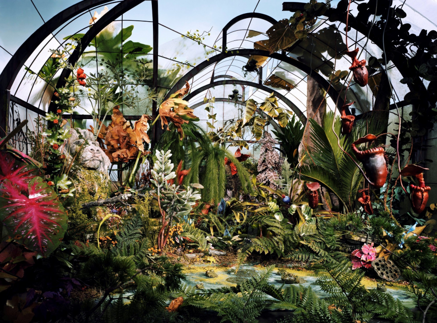 Lori Nix, Botanic Garden, from “The City”, 2008, color photograph, cm 76 x 104 ca.