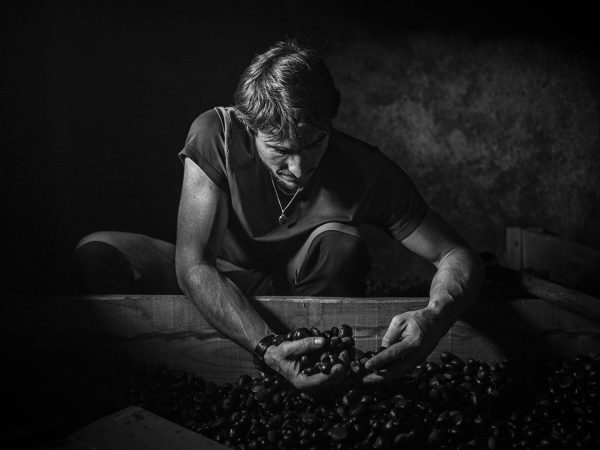 Image of "Unique Images in the Cévennes #1" book by Le Bec en l'air. Images courtesy of Cédric Gerbehaye.