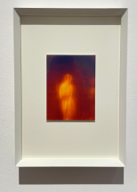 Les Petites Madeleines - Podbielski Contemporary