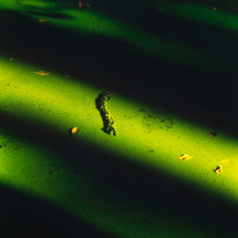 The beginning of sound - POETIC SCAPE