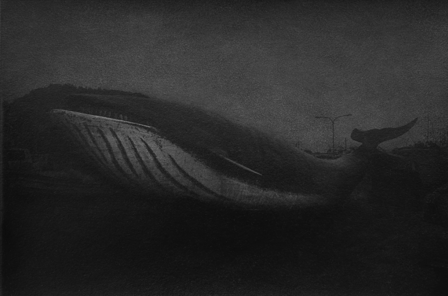 Chieko Shiraishi, Whale, Shimakage, 2008/2025 - Courtesy of the artist and Écho 119.