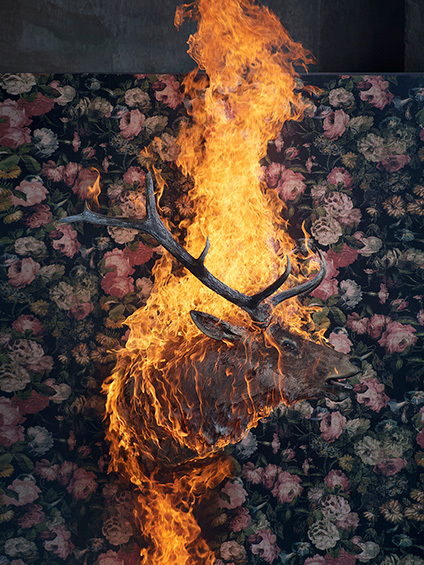 Stag in heat, 2018 © Christian Houge
