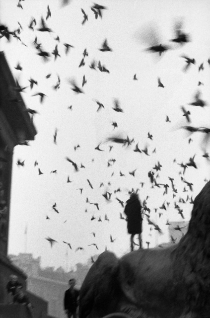 Trafalgar square, London, 1959 © Sergio Larrain / Magnum Photos