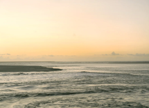 My Days at Ray's - ROSEGALLERY - Galleries