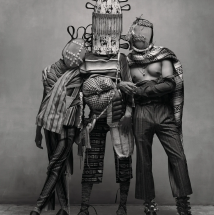 Birds of Mexico City - Damiani Books