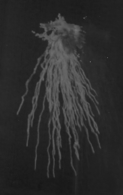 Pooya Abbasian, &quot;The White Willy Pete&quot;, 2024, impression sur plaque de plexiglas de vidéogramme réimprimé en UV transparent. 100 x 150 cm. Courtesy of the artist