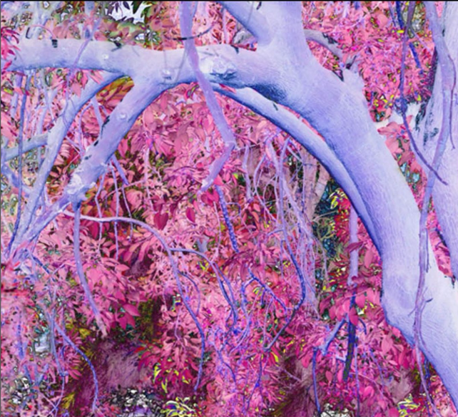 Courtesy of Claudia Fuggeti and Camara Oscura Galeria De Arte